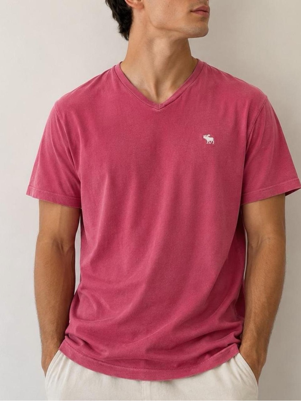 Abercrombie & Fitch Vintage Red V-Neck Moose Tee - Size S